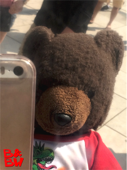 Bear's Selfie